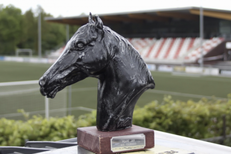 Foto bij Zaterdag 22 Oktober: Jubileum Pearejan toernooi! (geef je op!!)